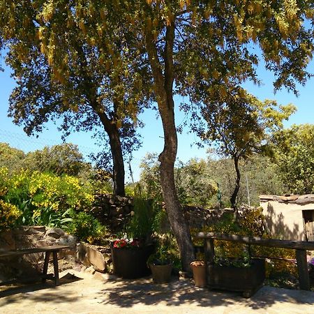 Valdolazaro ξενώνας Los Navalucillos Εξωτερικό φωτογραφία