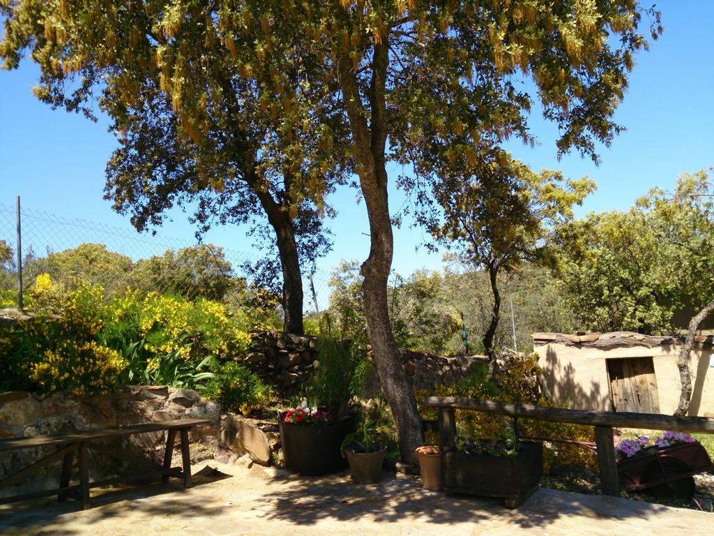 Valdolazaro ξενώνας Los Navalucillos Εξωτερικό φωτογραφία